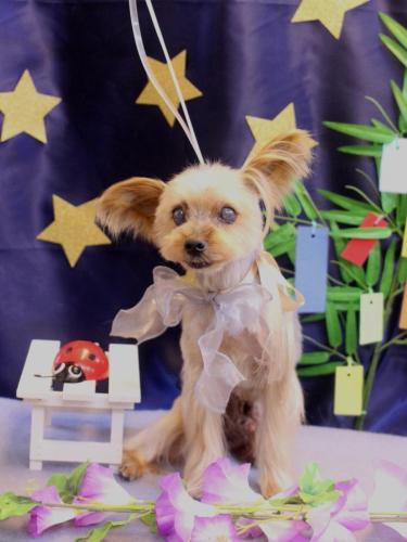 20230708マックスくん